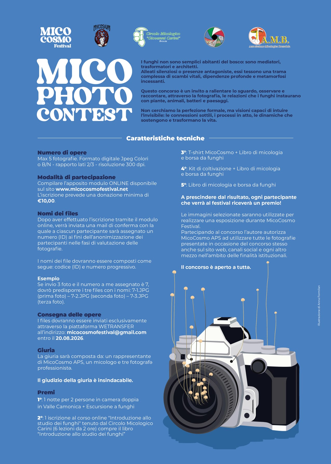 Mico Photo Contest